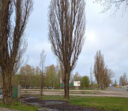Чиї стоки: екологи домоглися, щоб у Кривому Розі ліквідували екологічне лихо