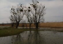 Чи є якісна питна вода на Криворіжжі?