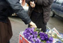 Криворіжців закликають відмовитися від продажу та купівлі первоцвітів, інакше – штраф