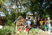 Будинок для комах з’явився в одному з дошкільних закладів Кривого Рогу