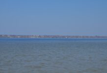 Не aqua vita: під Кривим Рогом у воді знайшли пестициди і заборонили її вживання