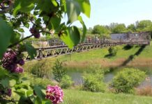 Ботанічний сад в Кривому Розі: що тут можна знайти?