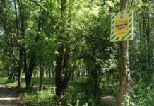 Окраса Кривого рогу: Довгинцівський дендропарк