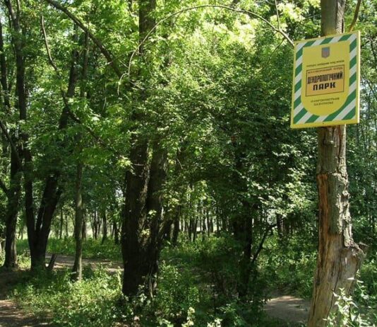 Украшение Кривого Рога: Долгинцевский дендропарк