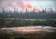 Екологічна ситуація у місті Кривий Ріг: реалізація Міської екологічної програми