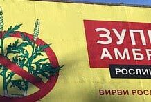 Боротьба з амброзією