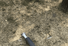 Як змінився парк Гданцівський за рік