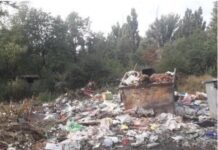 Скарги від мешканців Кривого Рогу на забруднення навколишнього середовища сміття