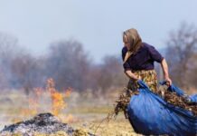 Криворіжці досі палять листя і траву? листя