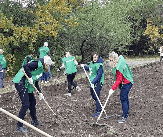В Кривом Роге реализуется проект по озеленению города