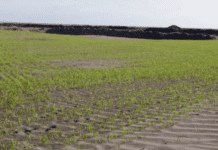 Метінвест проводить заходи щодо зниження техногенного навантаження