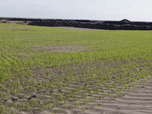 Метінвест проводить заходи щодо зниження техногенного навантаження