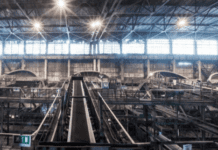 ЦГЗК при виробництві DRI-окатишів використовує біопаливо