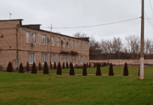 Підприємства Кривого Рогу займаються озелененням міста