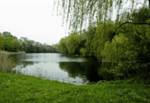 Куди не можна ходити під час воєнного стану у Кривому Розі?