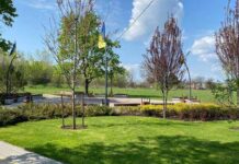 Відпочинок по-новому: що варто побачити в одному із криворізьких парків?