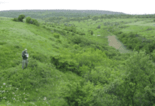 Балка Північна Червона – мальовничий куточок Кривого Рогу