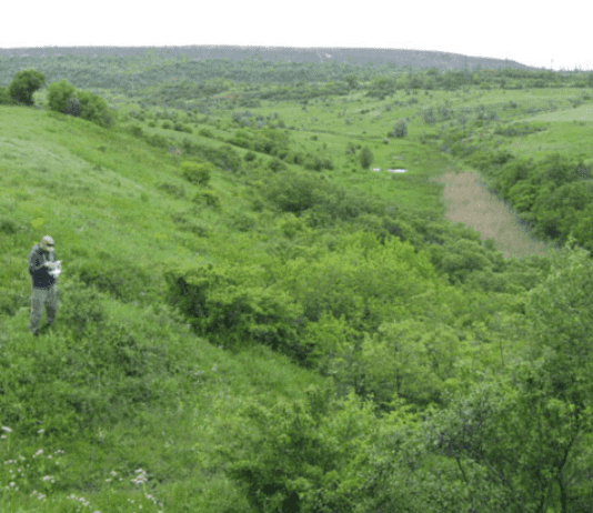 Балка Північна Червона – мальовничий куточок Кривого Рогу