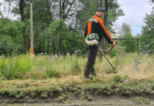 Які правила благоустрою існують у Кривому Розі?