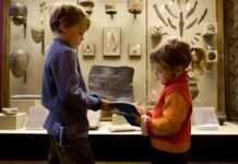 Зоологічний музей у Кривому Розі: історія та діяльність