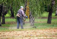 Як у Кривому Розі проходить боротьба зі шкідливими рослинами?