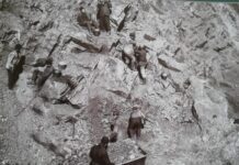 Багатства надр Кривого Рогу