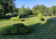 Озеленення Кривого Рогу: проблеми та чому важливо це робити