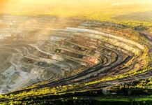 Життя в стилі еко у Кривому Розі: як покращити якість повітря власноруч?