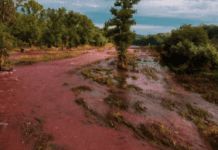 Який стан річки Інгулець після терористичних дій РФ?