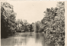 Найстаріший парк Кривого Рогу: парк Веселі Терни