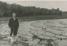 Історія походження “Карачунів”