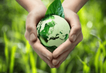 Екологічні акції та ініціативи Кривого Рогу