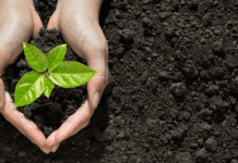 Моніторинг та стан ґрунтів Криворіжжя