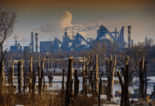 Що впливає на стан річок у Кривому Розі