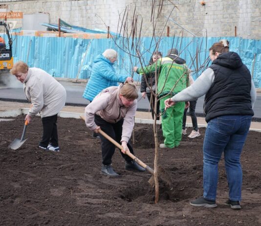 Благоустрій Кривого Рогу: огляд досягнень і перспектив