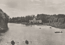 Криворізький вишневий сад: історія заснування парка імені Федора Мершавцева