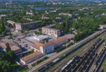 Зелені “фільтри” для Кривбасу: які рослини очищують повітря та ґрунт